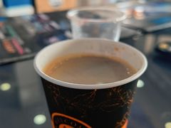 -费特希耶滑翔伞