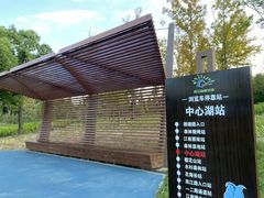 -上海滨江森林公园