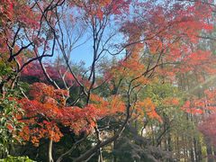 -中山公园