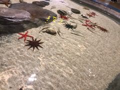 -福州罗源湾海洋世界旅游区