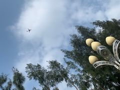 -宝安西湾红树林湿地公园