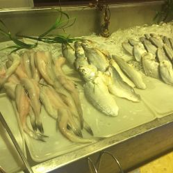 -阳光五洲大酒店·宴会厅