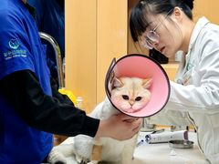 -联合动物医院(光谷诊疗中心)