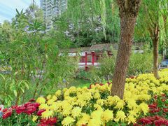 -西湖公园(鼓楼区)