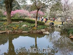 -杭州植物园