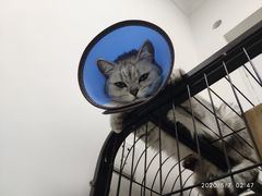 -联合动物医院(光谷诊疗中心)