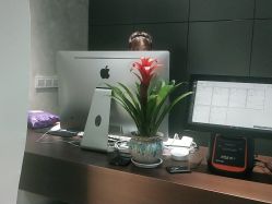 -丝源发型