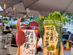 -朱光玉火锅馆(正弘城店)