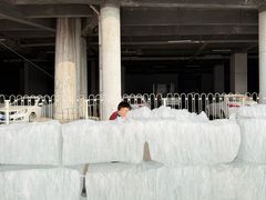 -沈阳奥体冰雪嘉年华