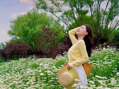 -汉长安城未央宫国家考古遗址公园