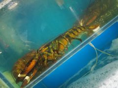 水产区-1910老鲁味海鲜·戳子肉·青岛菜(金沙滩店)