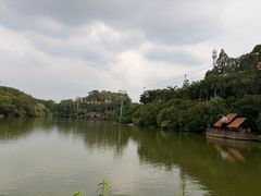 -广州长隆飞鸟乐园
