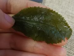 -养心斋涵信茶艺茶道培训