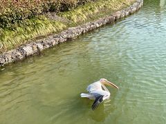 -上方山森林动物世界