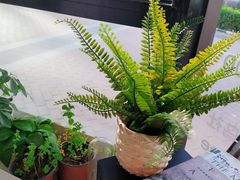 -卖呆儿咖啡(望京店)