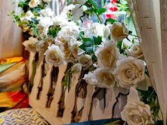 -蓝山四季西餐植物店