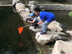 -白水寺森林公园