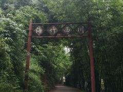 -芦沟竹海