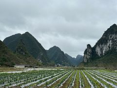 -靖西鹅泉风景区