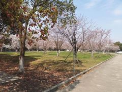 -无忧学车·大众驾校(长宁校区)