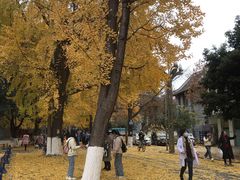 -四川大学(华西校区)