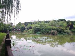 -新繁老號豌豆汤饭店·江湖菜(宝光寺店)