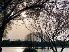 -尚湖风景区