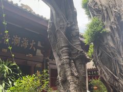 -叩齿古寺