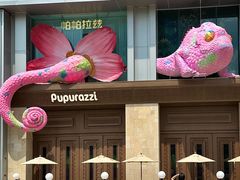 -帕帕拉兹宠物(亚洲旗舰店)