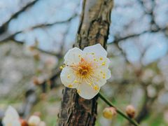 -上海市龙华烈士陵园