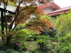 -中国茶叶博物馆(双峰馆区)