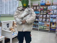 -瑞鹏宠物医院·夜间急症·心超·猫科(祖庙分店)