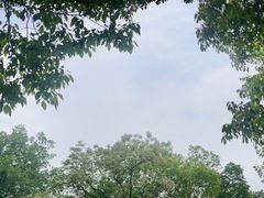 -盘龙城国家考古遗址公园