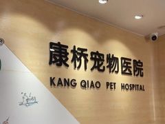 -千城康桥宠物医院·猫科·骨科·心脏