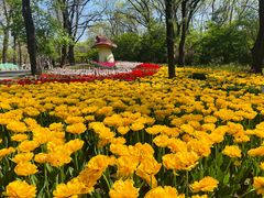 -沈阳植物园