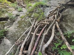 -少华山国家森林公园