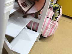 -康和宠物医院(金牛路分院)
