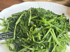 -粘芭喃腊云南的菜