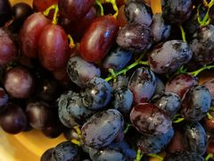 -绝味鸭脖(水碾河店)