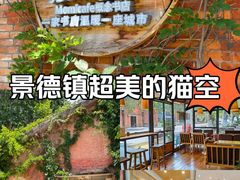 -猫的天空之城概念书店(景德镇陶溪川店)