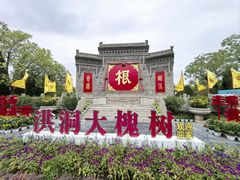 -大槐树寻根祭祖园