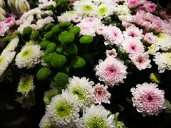 -爱尚幸福鲜花(上地实体店)