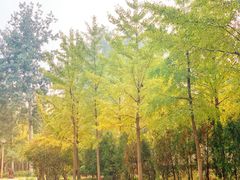 -中家鑫园温泉酒店鑫悦汤泉