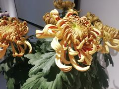 -汇龙潭