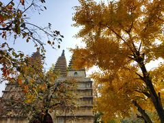 -北京石刻艺术博物馆(五塔寺)