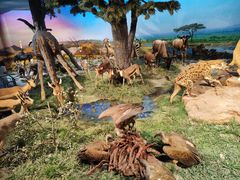 -国家自然博物馆