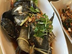 -真浪花园海鲜餐馆