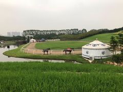-迪茵湖田家舍生态农场