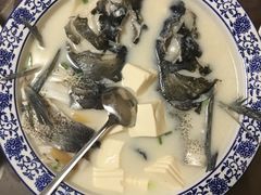 -全乐鱼馆·淳牌有机鱼直营店