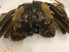 -新光酒家·河豚·海鲜·蟹料理(浦东店)